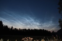 /album/sepon-luontokuvat/img-4061-jpg/